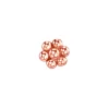 The Last Line Flower Stud Earring