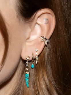 The Last Line Stone Horn Earring