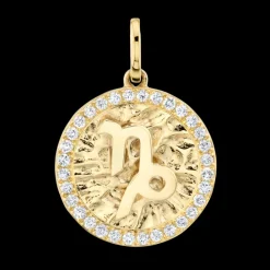 The Last Line Zodiac Coin Pendant