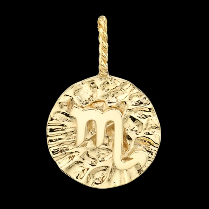 The Last Line Zodiac Coin Pendant