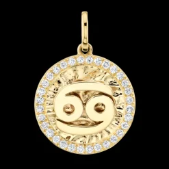 The Last Line Zodiac Coin Pendant