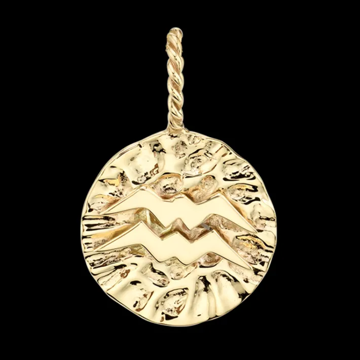The Last Line Zodiac Coin Pendant