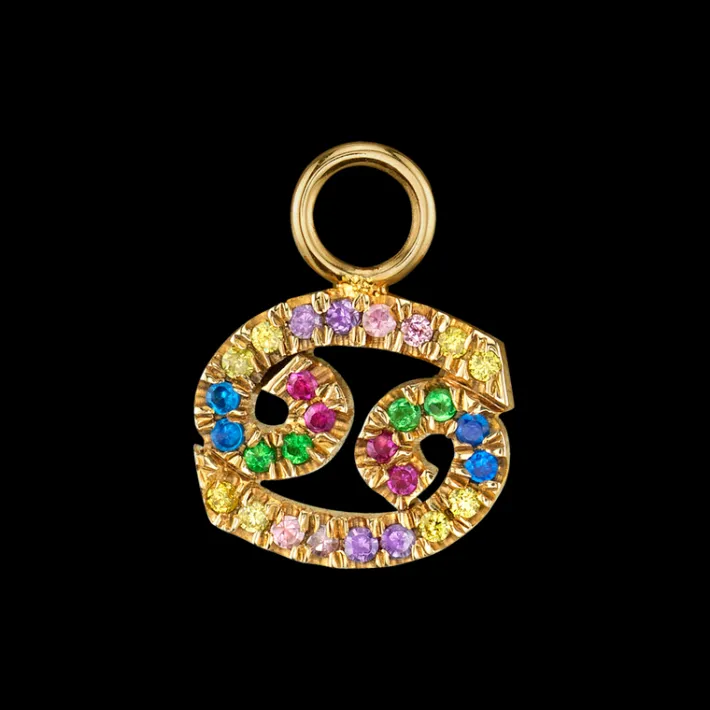 The Last Line Zodiac Hoop Earring Charm