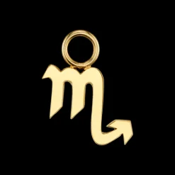 The Last Line Zodiac Hoop Earring Charm