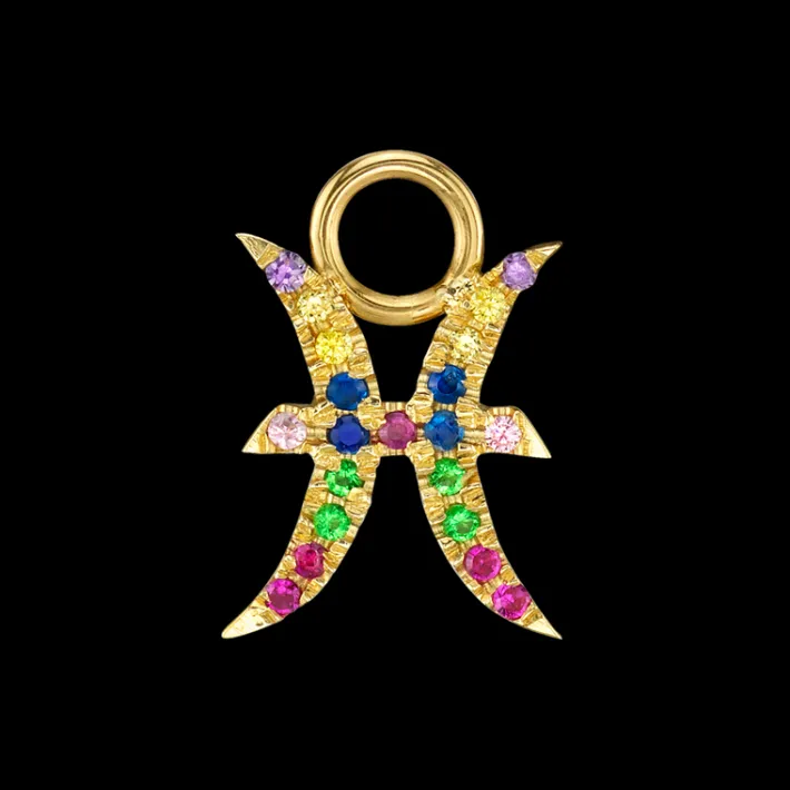 The Last Line Zodiac Hoop Earring Charm