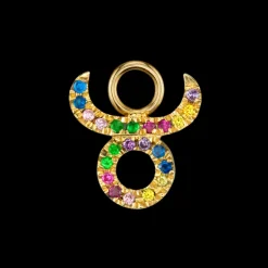 The Last Line Zodiac Hoop Earring Charm