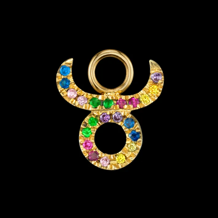 The Last Line Zodiac Hoop Earring Charm