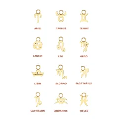 The Last Line Zodiac Hoop Earring Charm