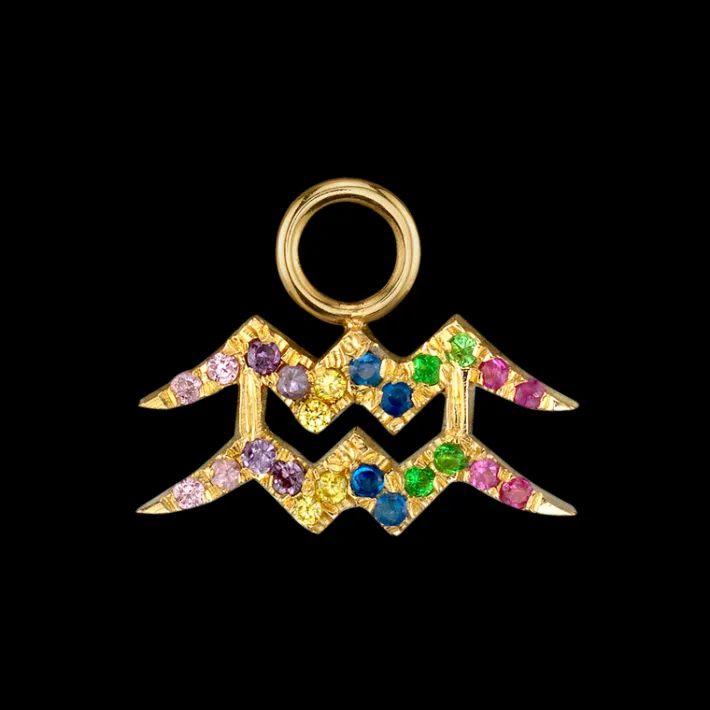 The Last Line Zodiac Hoop Earring Charm