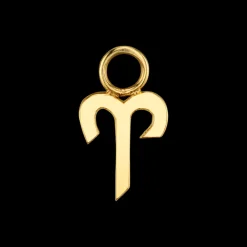The Last Line Zodiac Hoop Earring Charm