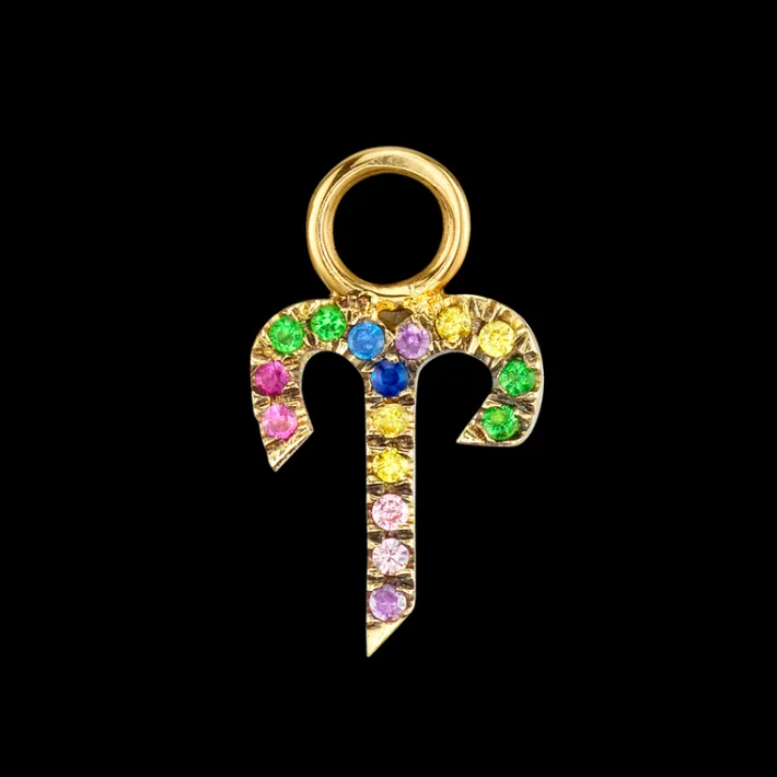The Last Line Zodiac Hoop Earring Charm