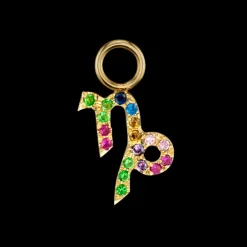 The Last Line Zodiac Hoop Earring Charm