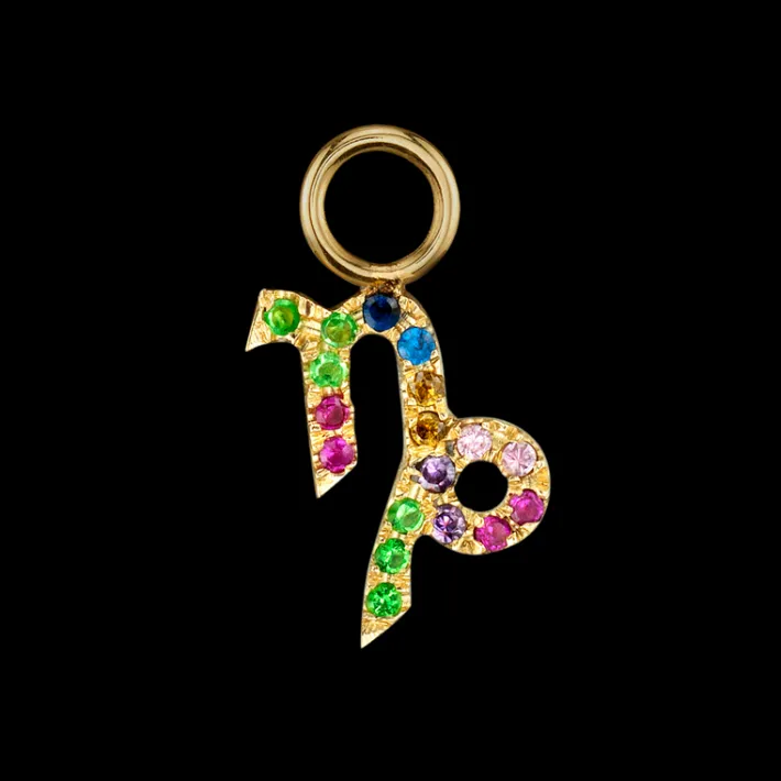 The Last Line Zodiac Hoop Earring Charm