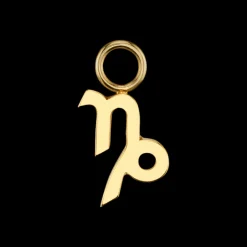 The Last Line Zodiac Hoop Earring Charm