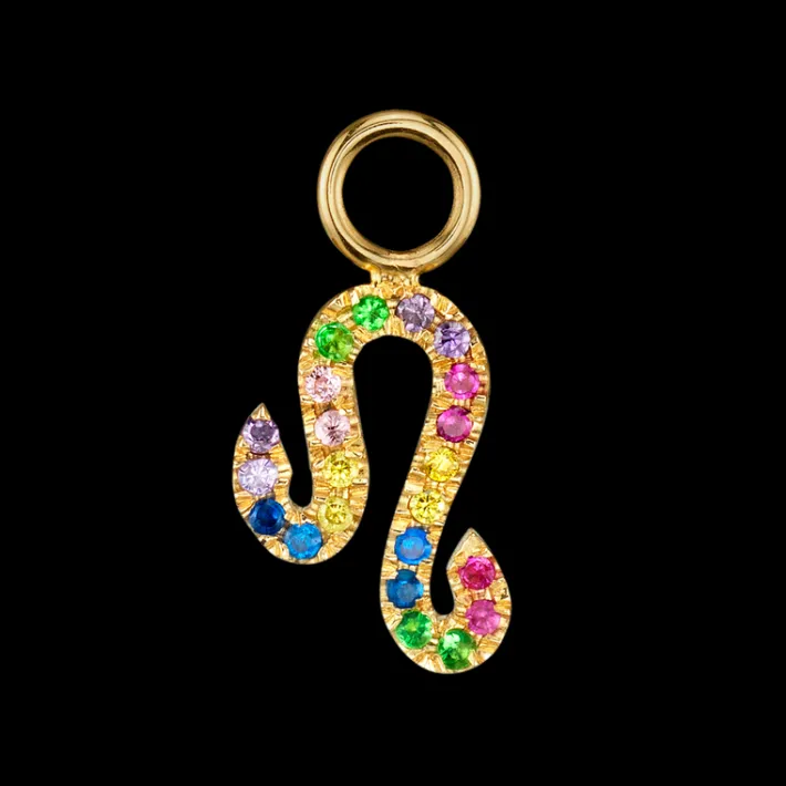 The Last Line Zodiac Hoop Earring Charm