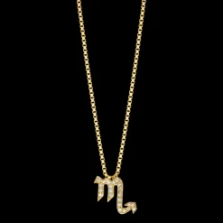 The Last Line Zodiac Station Necklace