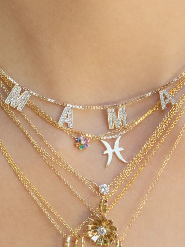 The Last Line Zodiac Station Necklace