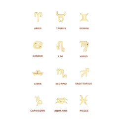 The Last Line Zodiac Station Necklace