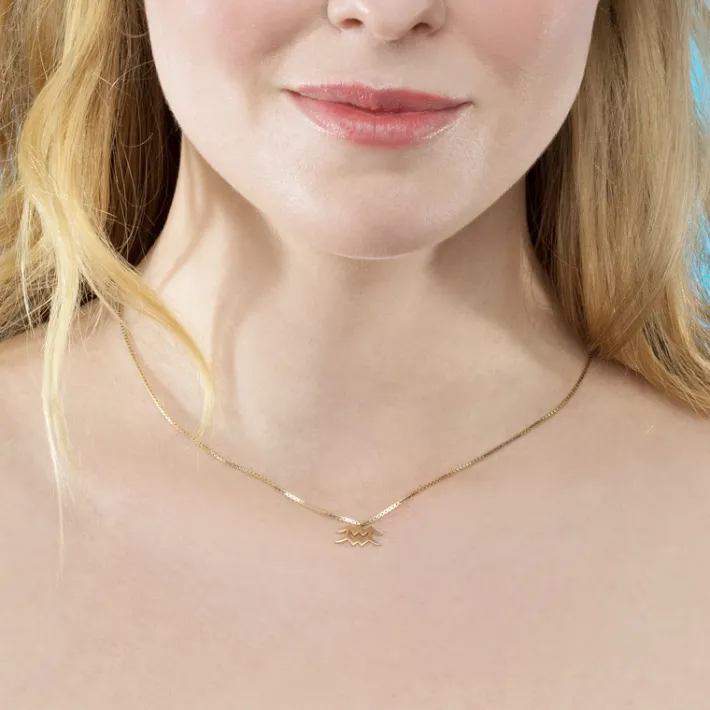 The Last Line Zodiac Station Necklace