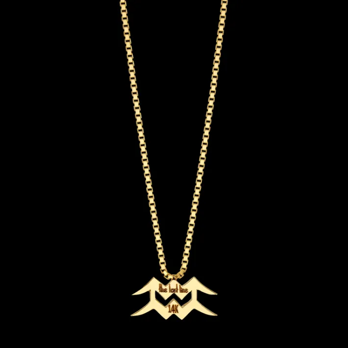 The Last Line Zodiac Station Necklace