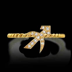 The Last Line Zodiac Station Ring
