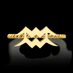 The Last Line Zodiac Station Ring
